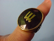 Fascist Ring