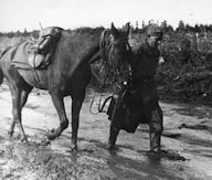 Equestrian saddle