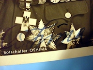 Oshima's Signed Postcard