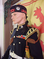 Capetown Highlanders Uniform