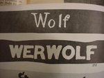 Freikorps Werwolf Flag