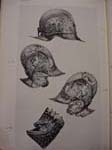 Burgonet Helmet
